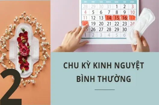 Như thế nào là kinh nguyệt đều? Cách tính chu kì kinh nguyệt