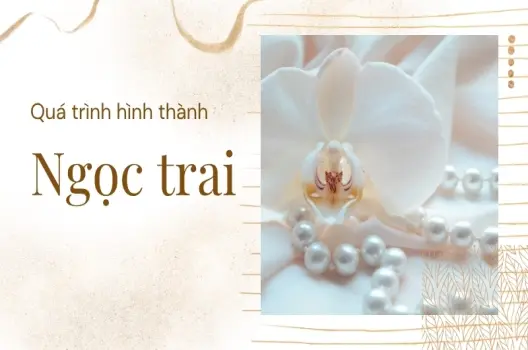 Ngọc trai hình thành như thế nào? Khám phá quá trình kỳ diệu từ lòng biển sâu