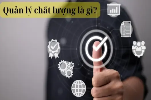 Quản lý chất lượng là gì? Tầm quan trọng với doanh nghiệp