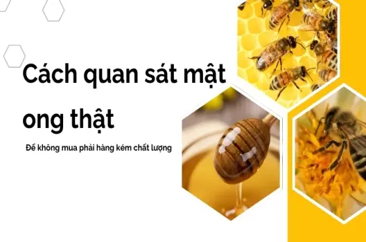 Hướng dẫn cách phân biệt mật ong thật giả bằng nước, lửa