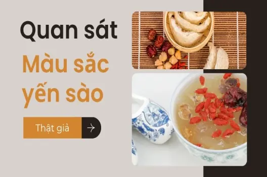 Cách phân biệt yến sào thật và giả - Bí quyết chọn đúng tổ yến chất lượng