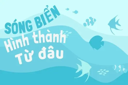 Sóng biển được hình thành như thế nào? Các loại sóng phổ biến
