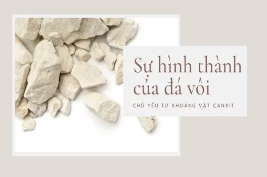 Đá vôi được hình thành như thế nào? Hành trình triệu năm từ biển cả