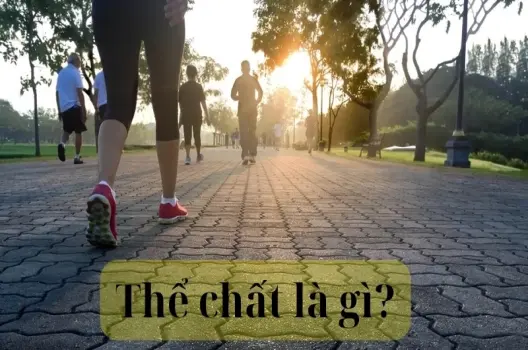 Thể chất là gì? Lợi ích của việc nâng cao thể chất toàn diện