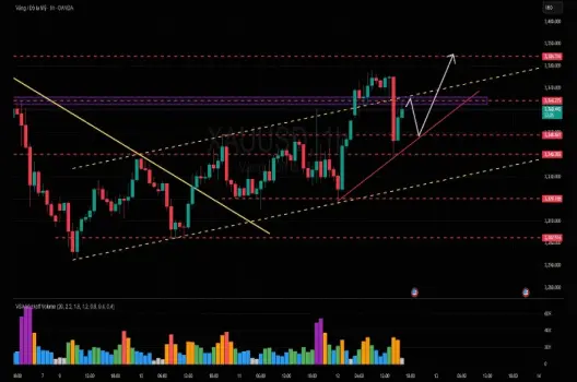 Bật mí các mẹo hay khi sử dụng TradingView như dân chuyên