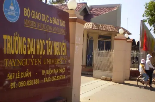 Thông tin về Trường Đại học Tây Nguyên ở đâu?