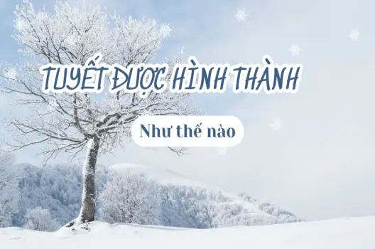 Tuyết được hình thành như thế nào? Cơ chế hình thành bão tuyết
