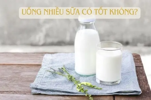 Uống sữa nhiều có bị sao không và cách uống đúng cách