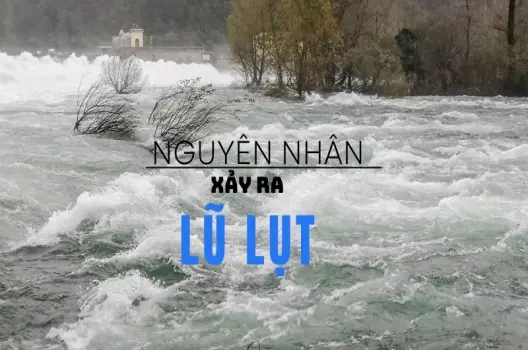 Lũ lụt được hình thành như thế nào? Hiểu rõ để chủ động phòng tránh