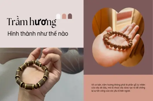 Trầm hương hình thành như thế nào - Báu vật của thiên nhiên