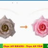 Bí quyết làm hồng nhũ hoa cấp tốc tại nhà an toàn hiệu quả 2026