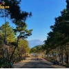 Biển Hồ T'nưng Gia Lai: Khám phá vẻ đẹp say đắm lòng người