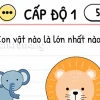 Brain Test: Đố Vui Mưu Mẹo - Khám Phá Thế Giới Thử Thách Trí Tuệ