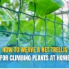 Cách Làm Giàn Leo Đơn Giản Tự Làm Tại Nhà