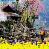 Cẩm nang du lịch Mèo Vạc: Khám phá vẻ đẹp cao nguyên đá Hà Giang