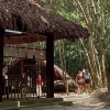 Địa Đạo Củ Chi Nằm Ở Đâu: Khám Phá Di Tích Lịch Sử Hấp Dẫn