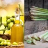 Hướng dẫn cách làm dầu gội đầu thảo dược cô đặc tại nhà
