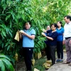 Khám phá Cù lao Dung ở đâu và những trải nghiệm độc đáo