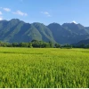 Mai Châu ở đâu? Khám phá vẻ đẹp và văn hóa độc đáo