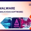 Malware là gì? Tác hại, cách nhận biết và phòng chống hiệu quả