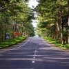 Măng Đen ở đâu: Khám phá vùng đất thần tiên Kon Tum
