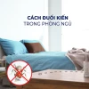 Mẹo đuổi kiến hiệu quả: Bí quyết đơn giản tại nhà