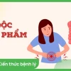 Ngộ độc thực phẩm là gì? Triệu chứng, nguyên nhân và cách xử lý hiệu quả