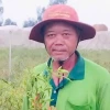 Ớt chỉ thiên là gì? Hướng dẫn trồng và những lợi ích bất ngờ