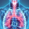 Phân biệt viêm phổi và lao phổi: Những điểm khác biệt cần biết