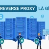 Reverse Proxy là gì? Vai trò và Lợi ích Vượt trội