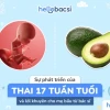 Thai 17 tuần phát triển như thế nào? Cẩm nang chi tiết cho mẹ bầu