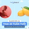Thai 20 tuần phát triển như thế nào và những thay đổi của mẹ