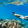 Top 10 Bãi Biển Đẹp Nhất Thế Giới: Khám Phá Thiên Đường Nghỉ Dưỡng 2026