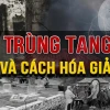 Trùng tang là gì và làm sao để hóa giải theo quan điểm Phật giáo