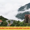 Vẻ đẹp Tam Đảo: Khám phá điểm đến lý tưởng gần Hà Nội