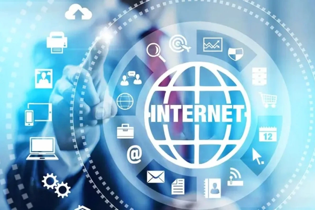 Thông tin trên Internet được tổ chức như thế nào?