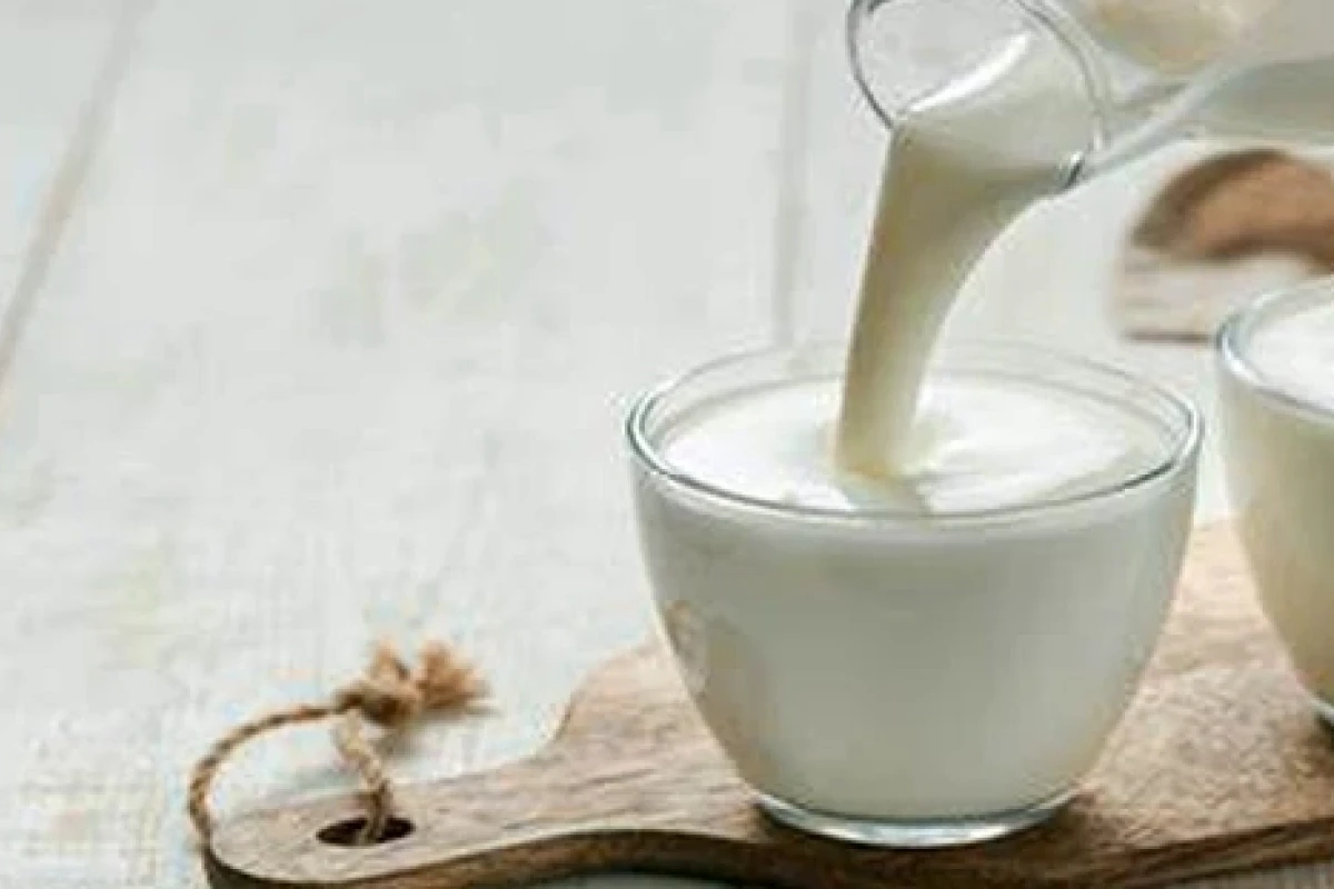 Tìm hiểu tác hại tiềm ẩn của nấm kefir