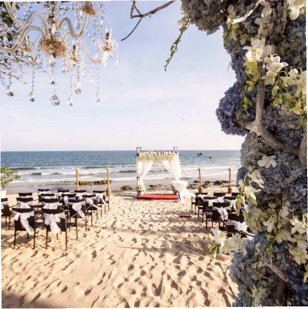Aroma Beach Resort and Spa nhìn ra biển