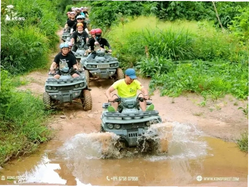Bãi biển Nhũ Tiên hoang sơ với cát trắng và hàng dừa xanh mát
