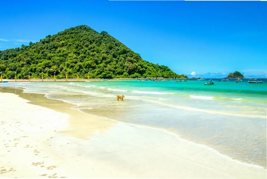 Bãi biển Selong Belanak Lombok với bờ cát trắng và nước lặng sóng