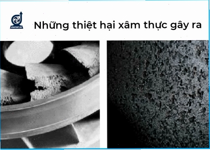 Biện pháp chống xâm thực bờ biển