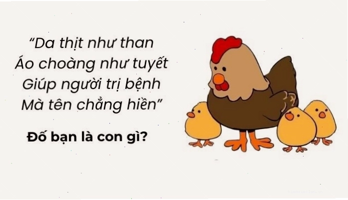 Bộ sưu tập những câu đố mẹo khó và mẹo giải đố hiệu quả