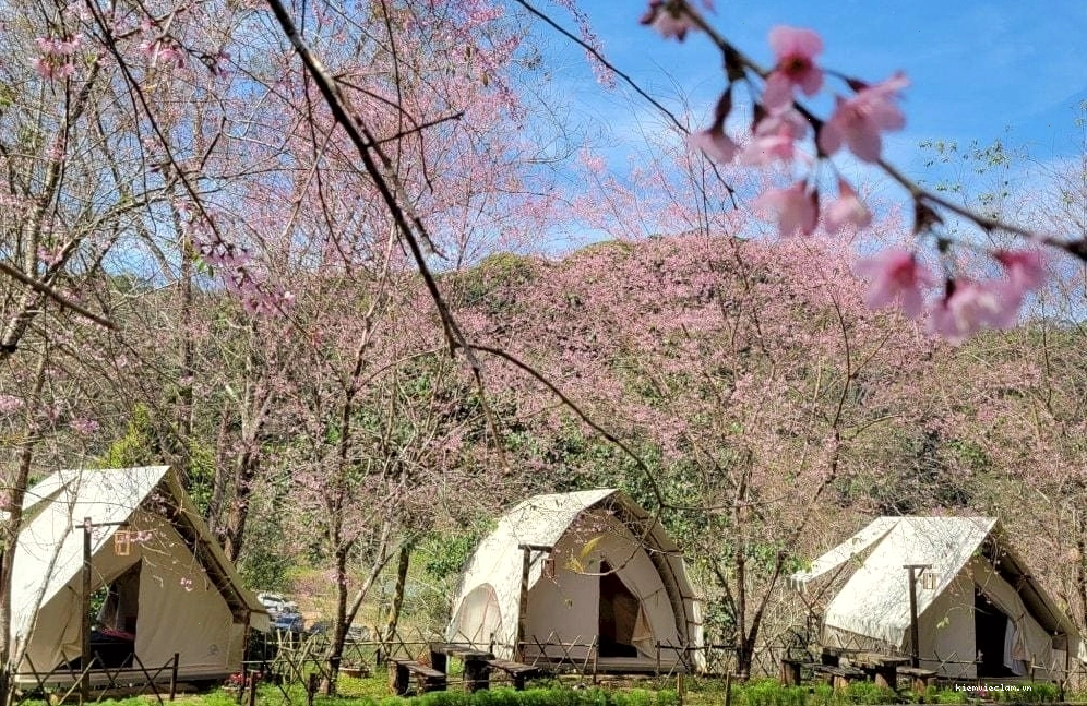 Các điểm lưu trú tại Măng Đen có không gian đẹp, gần gũi thiên nhiên