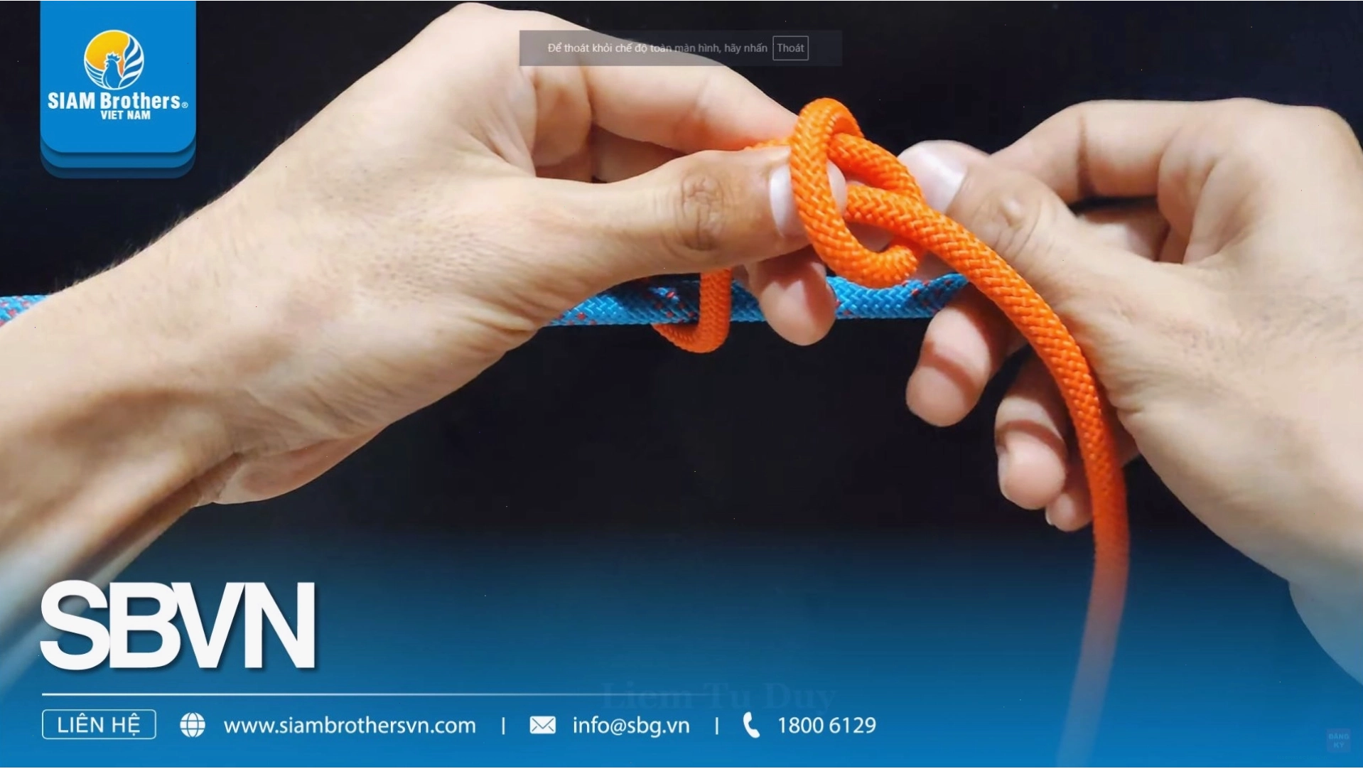 Các loại cây leo phù hợp làm giàn