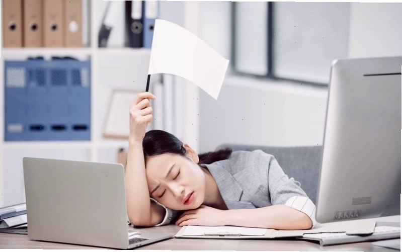 Các lựa chọn bữa sáng nhanh gọn, đủ chất dinh dưỡng