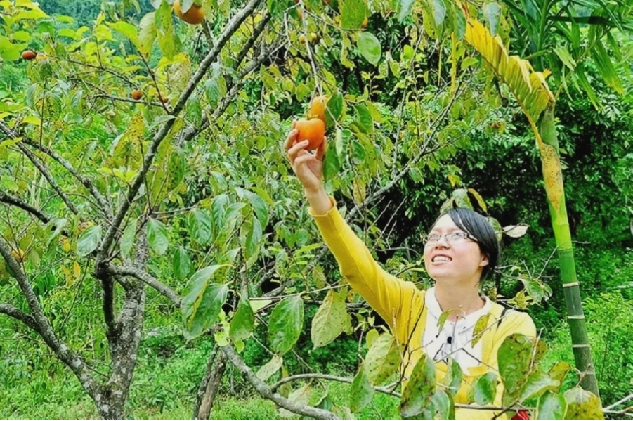 Các món ăn đặc sản tại nhà hàng Thung Nham