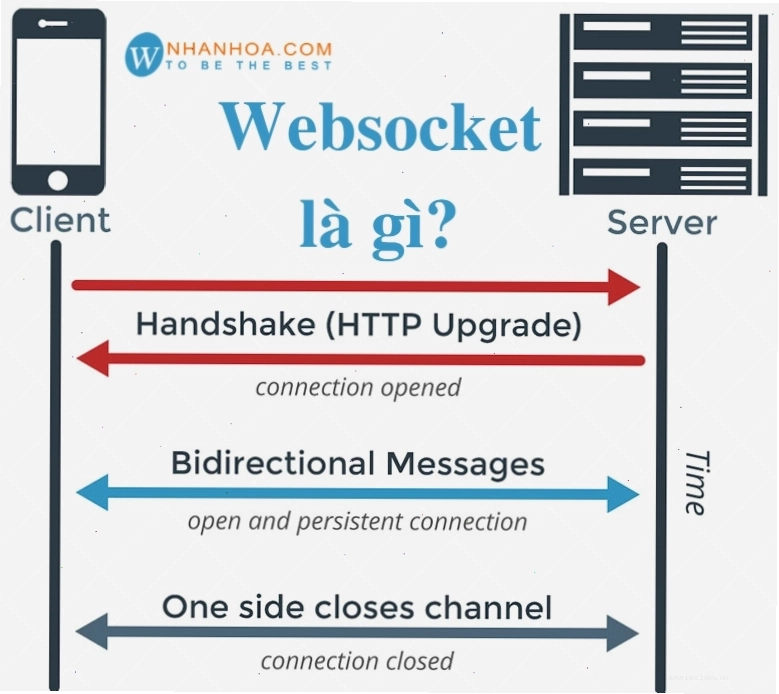 Các thành phần tham gia vào hệ thống WebSocket