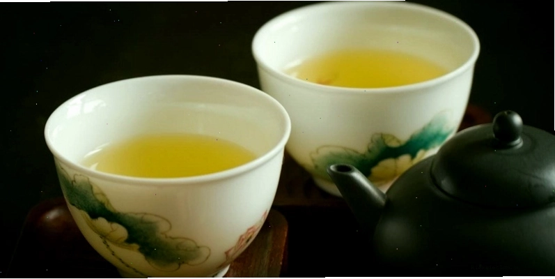 Cách uống trà nụ vối hiệu quả nhất là uống khi không quá đói, không quá no và pha trà không quá đặc.