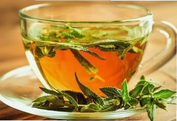 Cai sữa bằng trà cây xô thơm