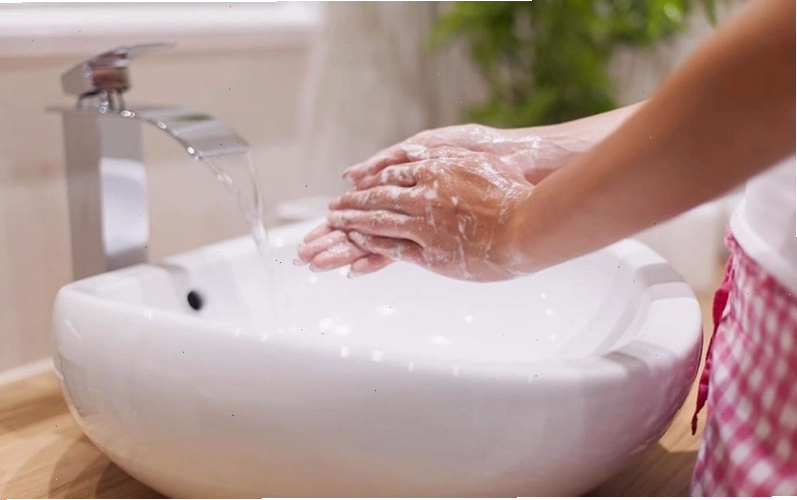 Cần phải rửa sạch tay ngay sau khi tiếp xúc trực tiếp với kiến ba khoang